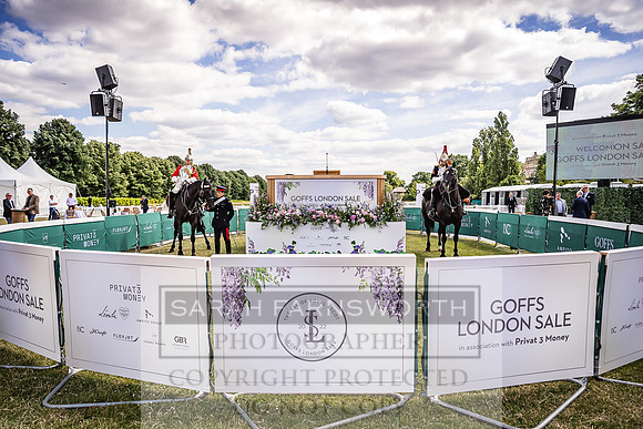 Goffs London Sale 2022-125