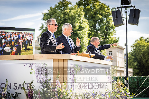 Goffs London Sale 2022-480