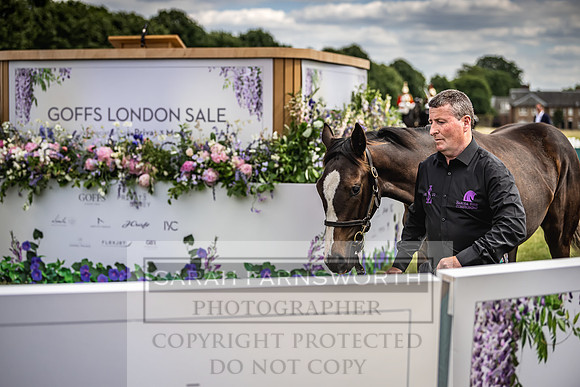 Goffs London Sale 2022-201