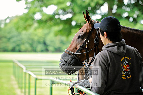 Cirencester Polo CF2 263