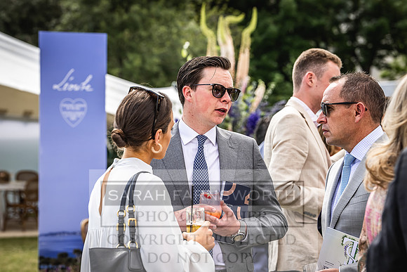 Goffs London Sale 2022-325