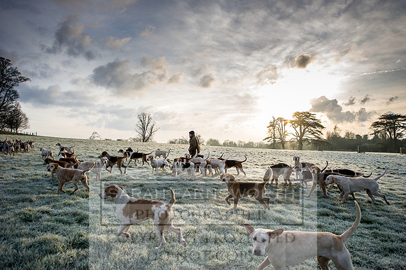 Wilton Kennels 240216-20
