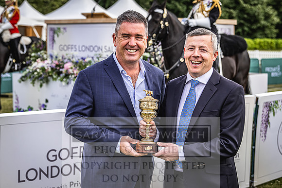 Goffs London Sale 2022-147