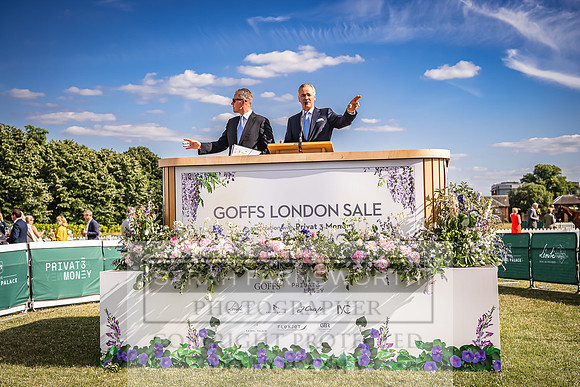 Goffs London Sale 2022-457