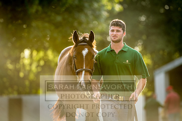Goffs Orby 2017-353