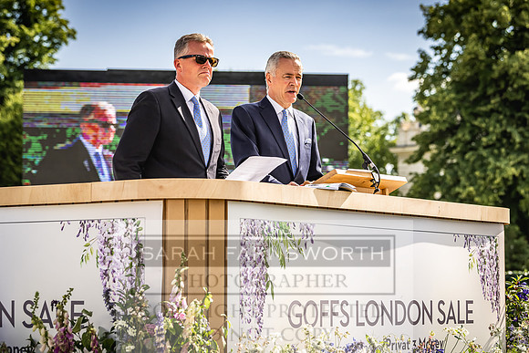 Goffs London Sale 2022-438