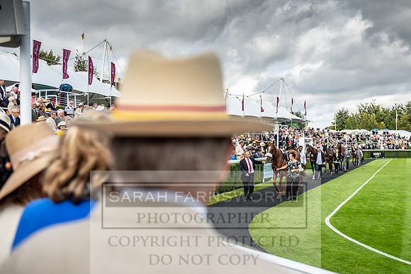 GUK Goodwood Sale 2019-185