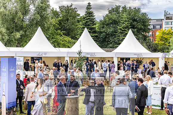 Goffs London Sale 2022-298