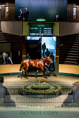 Goffs Orby 2017-218