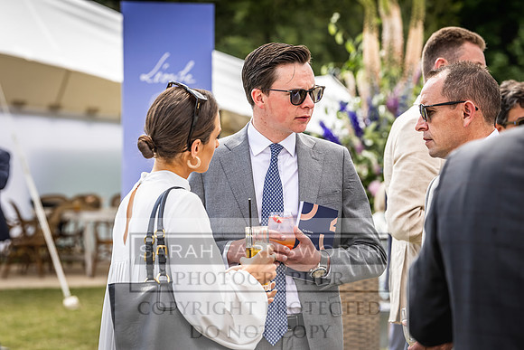 Goffs London Sale 2022-324