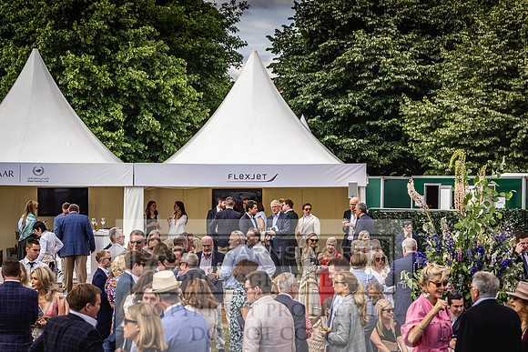 Goffs London Sale 2022-290
