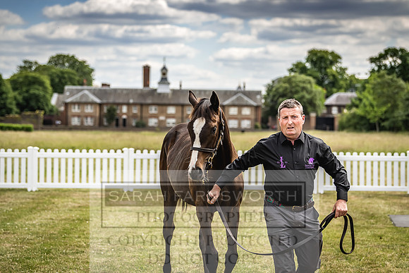 Goffs London Sale 2022-53