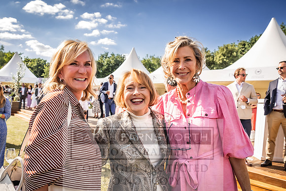 Goffs London Sale 2022-533