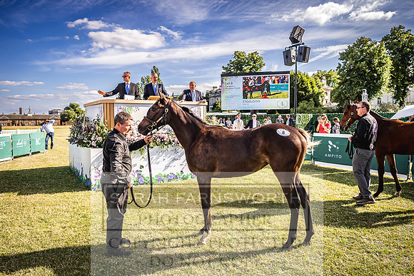 Goffs London Sale 2022-546