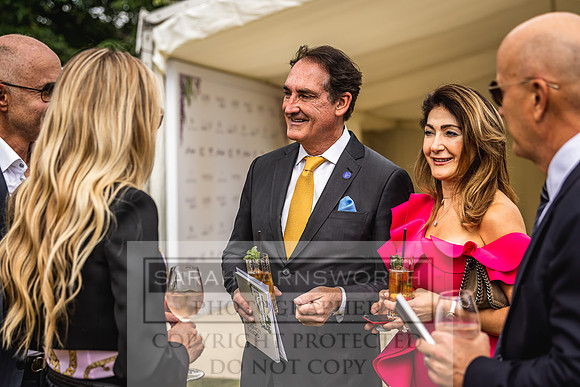 Goffs London Sale 2022-248