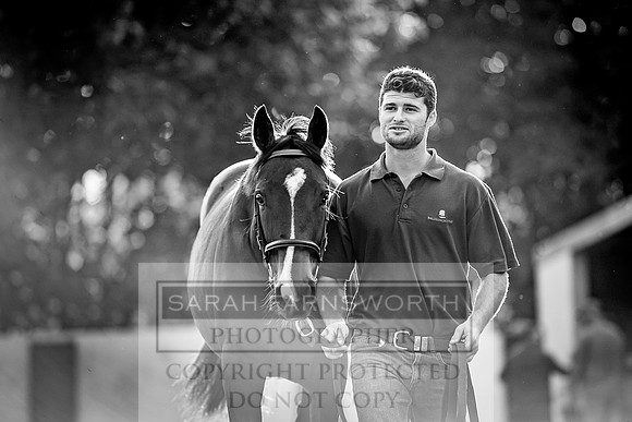 Goffs Orby 2017-352