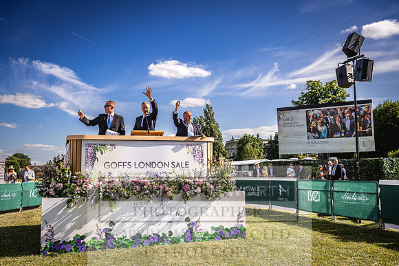 Goffs London Sale 2022-478