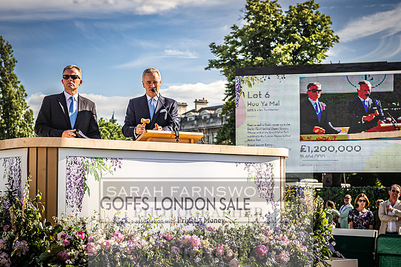 Goffs London Sale 2022-519