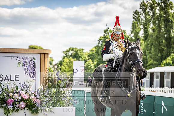 Goffs London Sale 2022-126