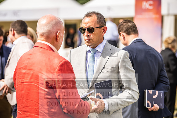 Goffs London Sale 2022-203
