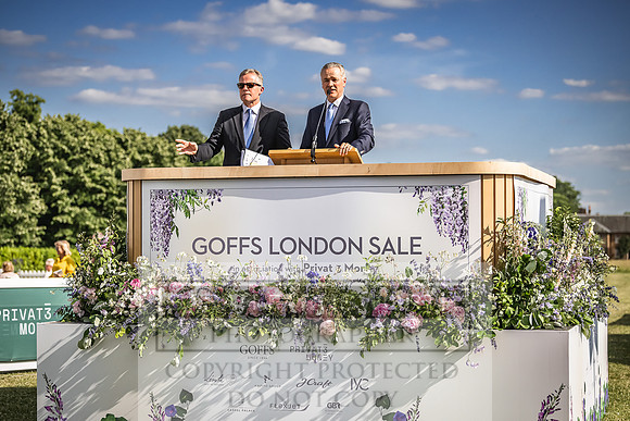Goffs London Sale 2022-458