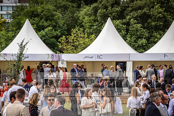 Goffs London Sale 2022-294