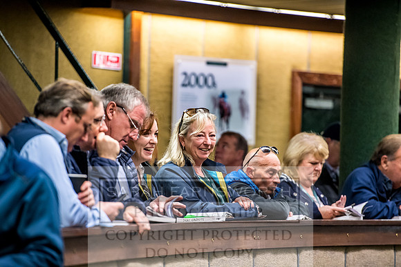 Goffs Orby 2017-172