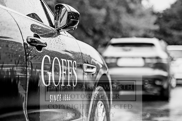 Goffs Orby 2017-715