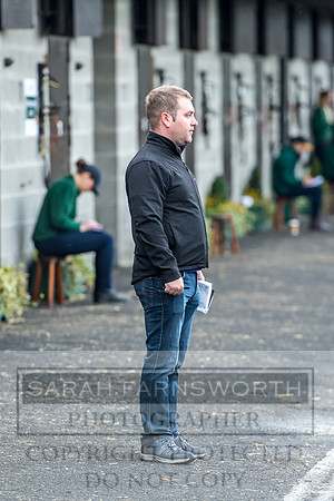 Goffs Orby 2017-44