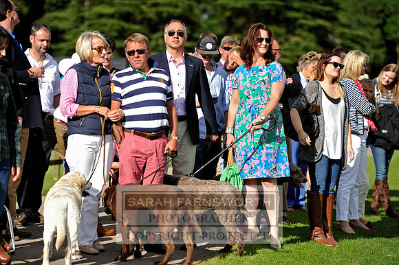 Cirencester Polo CF3 1615