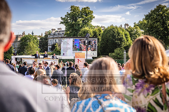 Goffs London Sale 2022-496