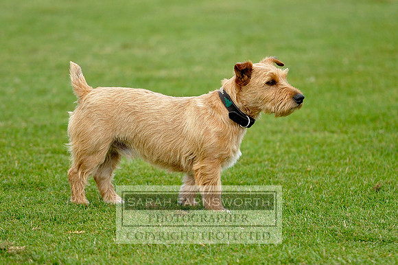 Cirencester Polo CF3 1003