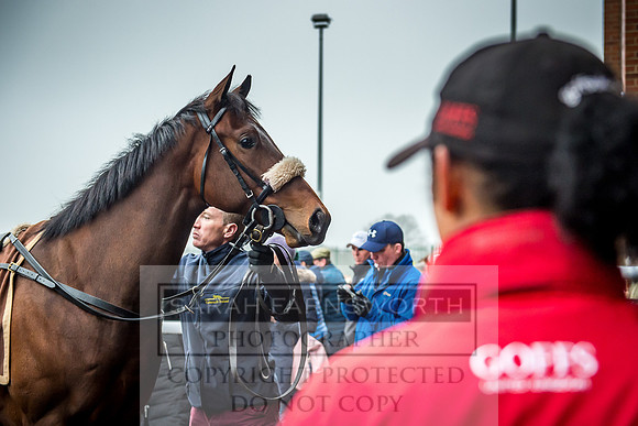 GUK Breeze Up 2018-393