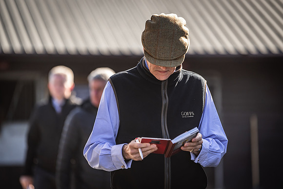 Goffs UK Breeze Up 2022-72