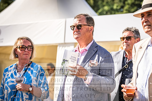 Goffs London Sale 2022-493