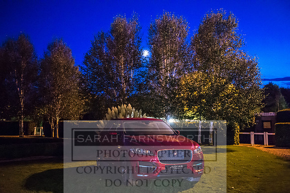 Goffs Orby 2017-507