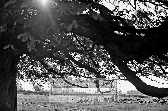Brocklesy Estate CF6 575 bw