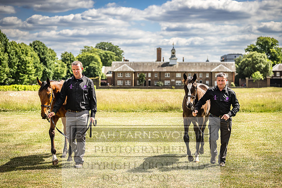 Goffs London Sale 2022-87