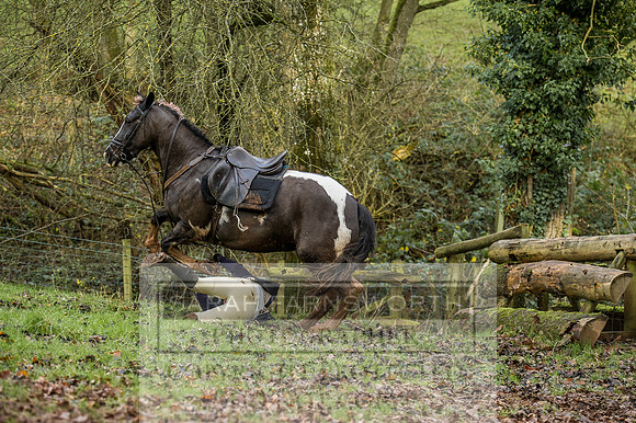 Ludlow 261215-300