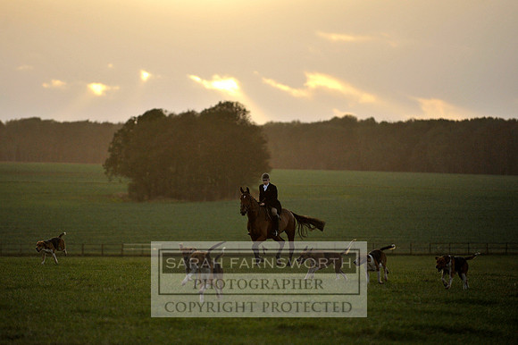 Brocklesby 021113 CF3 1487