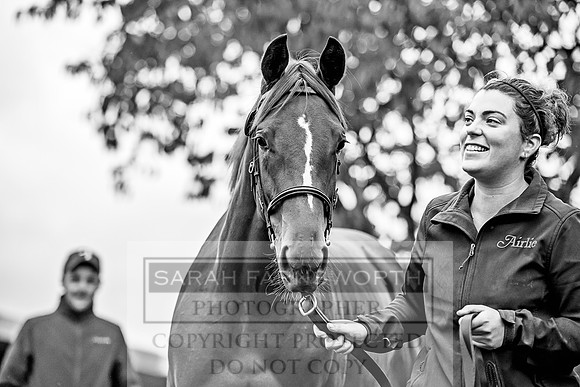 Goffs Orby 2017-548