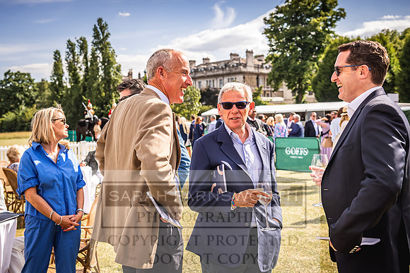 Goffs London Sale 2022-364