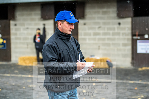Goffs Orby 2017-589