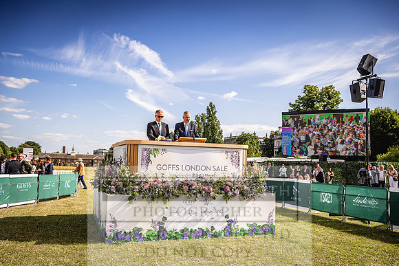 Goffs London Sale 2022-443