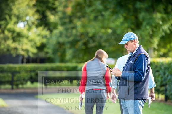Goffs Orby 2017-107