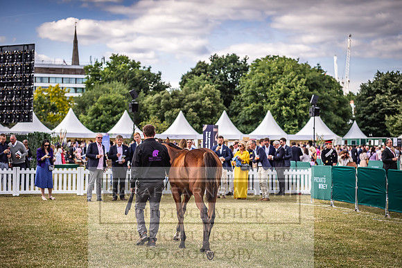 Goffs London Sale 2022-401
