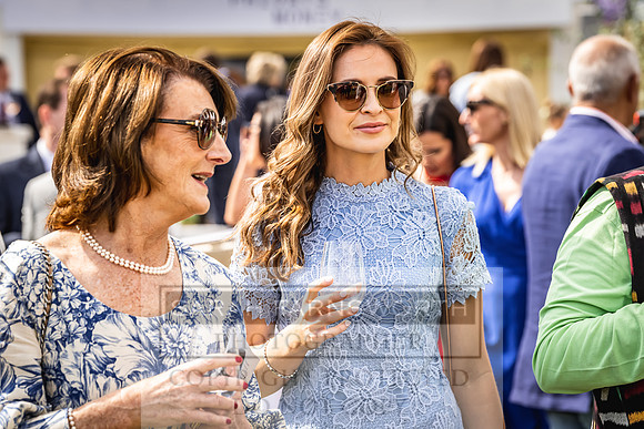 Goffs London Sale 2022-329