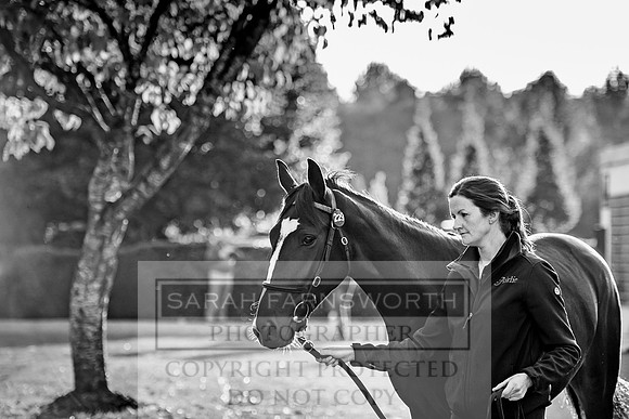 Goffs Orby 2017-433