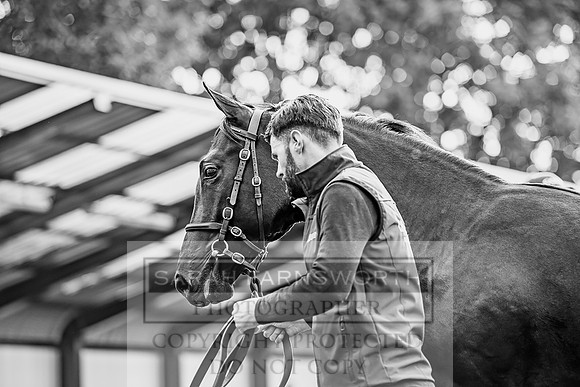 Goffs Orby 2017-165
