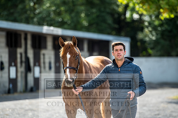 Goffs Orby 2017-265